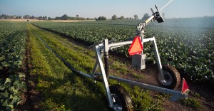 Beerstecher AG Breite Fahrgassen