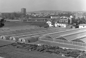 Beerstecher AG Gewaechshaeuser 1962