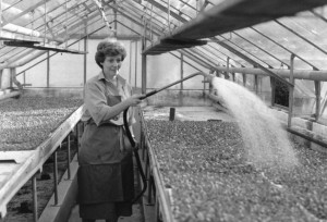 Berstecher AG Lisbeth Beerstecher-Kretz 1974