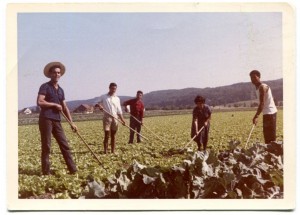 Beerstecher AG Hacken mit Land