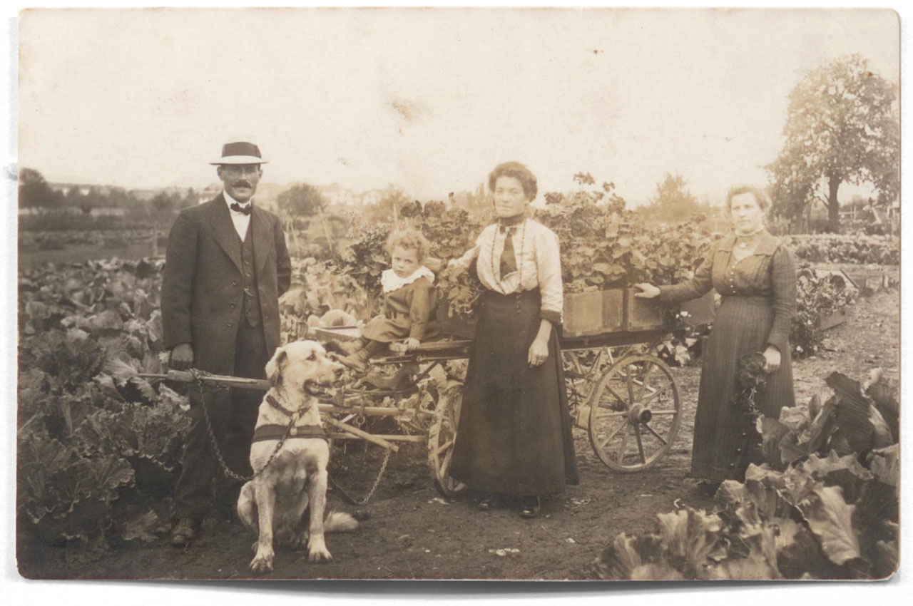 Beerstecher AG 1914 Hunde- statt Pfärdestärken