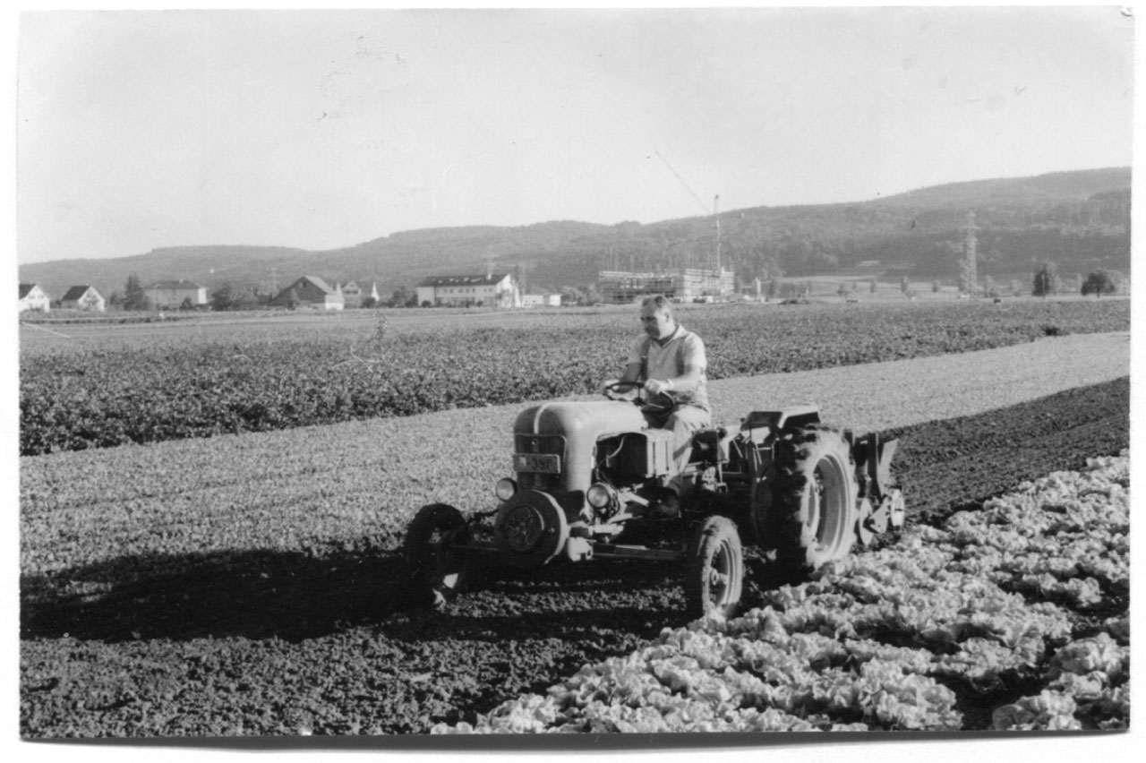 Beerstecher AG Traktor Grunder mit 12 PS