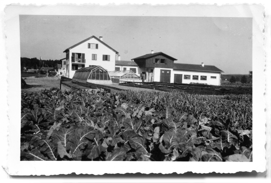 Beerstecher AG Haus mit Anbau